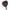 Head Coello Motion 2026