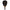 Black Crown Patron Gold 2025