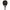 Black Crown Special Invictus 2025